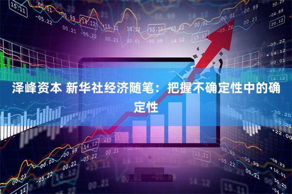 泽峰资本 新华社经济随笔：把握不确定性中的确定性