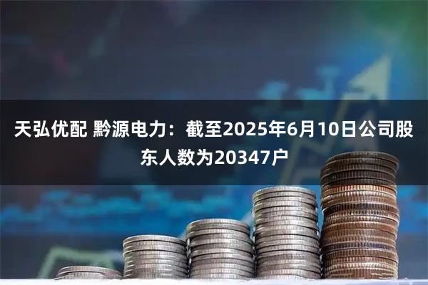 天弘优配 黔源电力：截至2025年6月10日公司股东人数为20347户