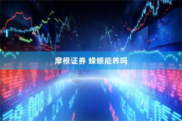 摩根证券 蝾螈能养吗