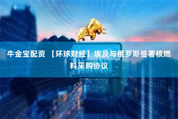 牛金宝配资 【环球财经】埃及与俄罗斯签署核燃料采购协议