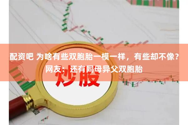 配资吧 为啥有些双胞胎一模一样，有些却不像？网友：还有同母异父双胞胎